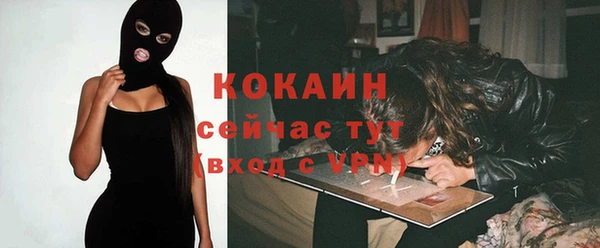 мескалин Заводоуковск