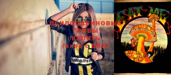 мескалин Заводоуковск