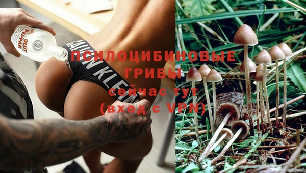 а пвп мука Зерноград